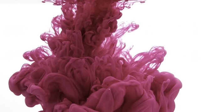 Magenta Ink Dropping and Swirling in Water Abstract Cloud Motion on White Background