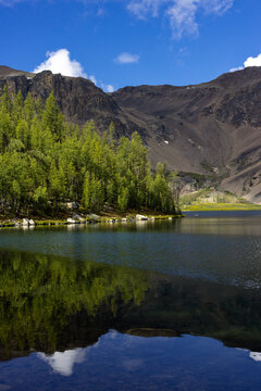 Green conifers beside a reflective alpine lake