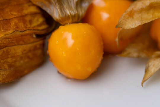 Ripe cape gooseberries with water droplets and dry papery husks