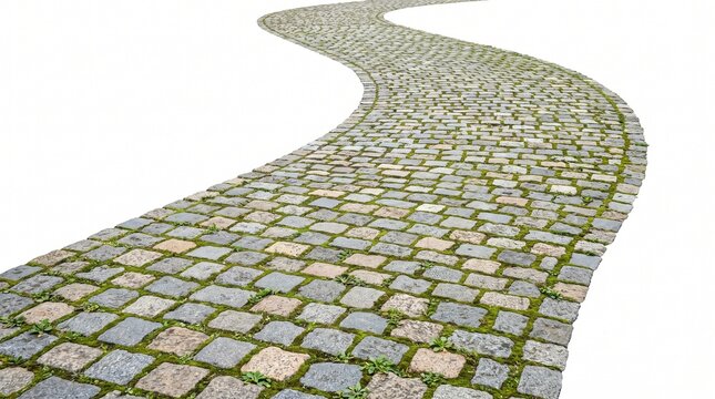 Curving cobblestone pathway with green moss growing between stones on white background