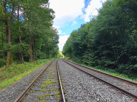 railway in the forest