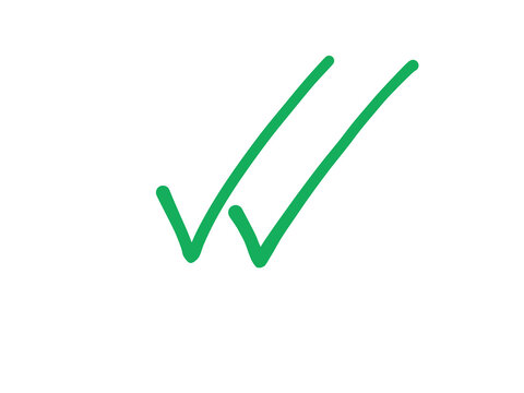 Minimalist hand-drawn double green check mark icon, two thin smooth tick symbols on white background. Elegant continuous green lines forming double approval, read receipt, and confirmation sign. Moder