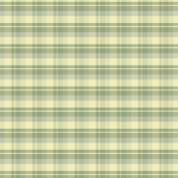 Sage Green Plaid Seamless Pattern Background Texture Illustration