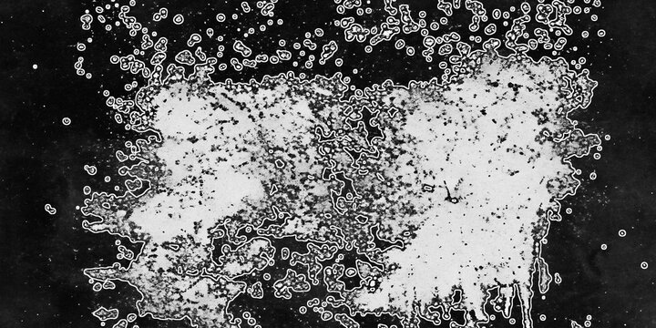 Organic liquid cells and microscopic bubbling pattern with white outlines on dark background.