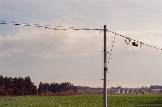 Utility Pole and Power Lines Over Rural Horse Pasture