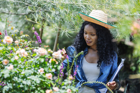 A woman wearing a straw hat closely examines garden flowers with a magnifying glass. Her focused expression highlights attention to detail, thoughtful plant care, and curiosity about nature.