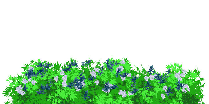 Green bush with beautiful flower 03