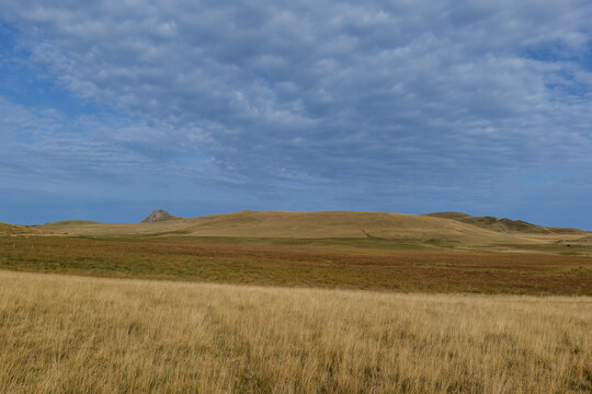 Les couleurs de l&rsquo;&eacute;t&eacute;

En Auvergne, les prairies se sont v&ecirc;tues de teintes dor&eacute;es.
