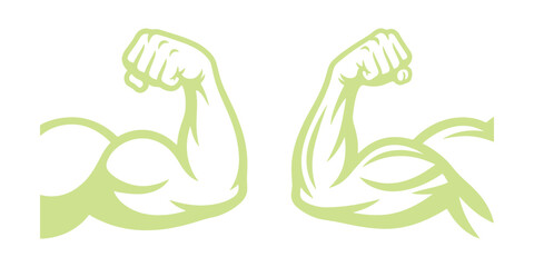 Fototapeta premium Two light green bicep flexing arm isolated on a white background, showing muscular strength and fitness concept for gym and health branding