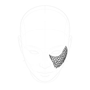 Hand drawn sketch of dragon scales on dummy head base, high angle view, isolated on white background. Technical line art.