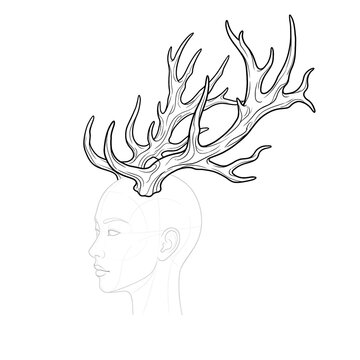 Hand drawn sketch of Antlers on dummy head base, profile view, isolated on white background. Technical line art.