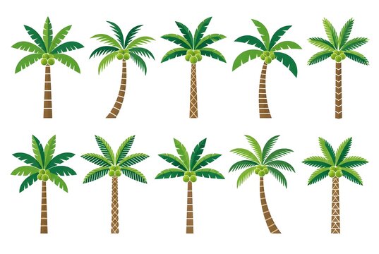 Set of diverse palm trees on transparent background png file
