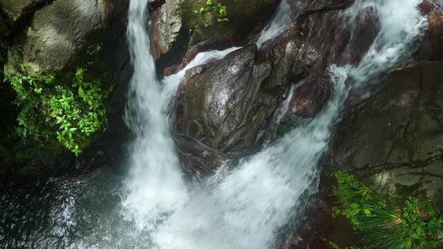 Two chutes of white water split around a smooth boulder at the Cascades de Didier, Martinique, ferns clinging to the wet rock on either side of the fall. Close up shot