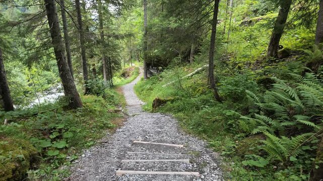 A scenic hiking trail hidden in the serene alpine forest of Rosenlaui Valley, Switzerland. A descending staircase winds down to the Reichenbach river where glacial meltwater flows freely in summer.