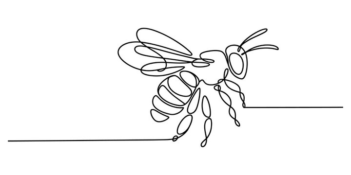 Continuous single line drawing of a honey bee