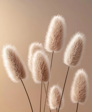 Serene boho-inspired background featuring 3D-rendered Pampas grass.