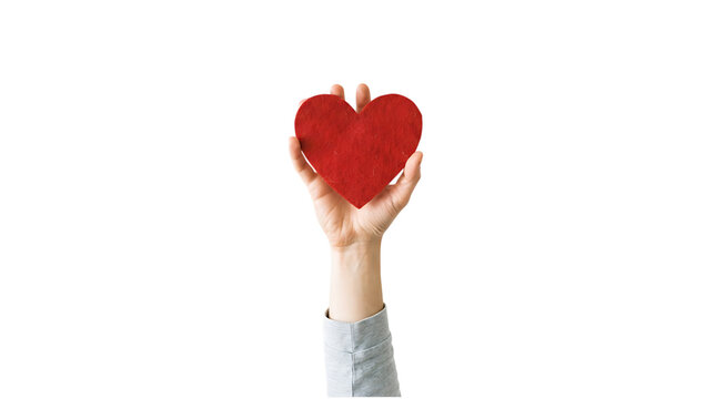 Prioritizing mental wellbeing a call to action for compassion understanding and accessible support for all individuals globally