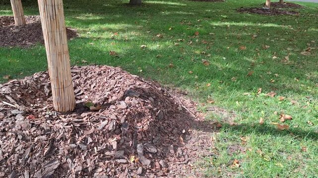 Mound of wood chips with wooden stake in a grassy field, landscaping material, outdoor setting, gardening resource.