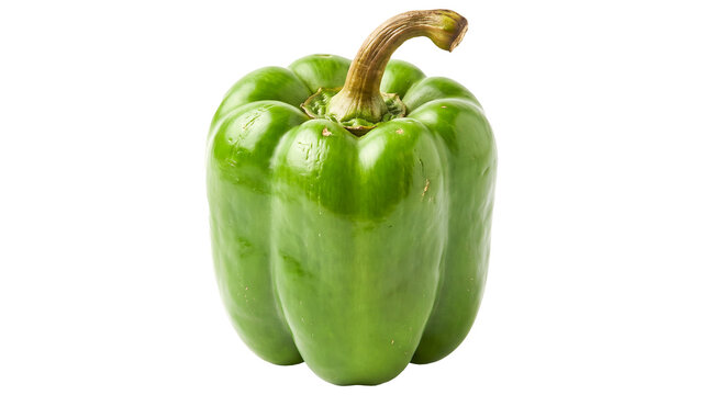Fresh Green Bell Pepper Still Life Isolated PNG on Transparent Background, Vegetable for Cooking and Salad
