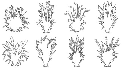 Set of handdrawn vector illustrations of various ornamental grasses and wild plants isolated on transparent background © Hikari Vector Studio
