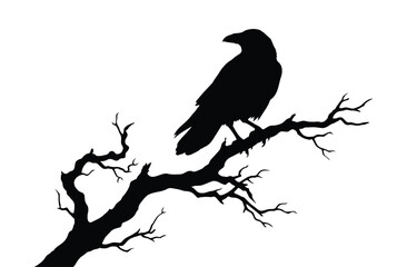 Obraz premium Silhouette Black Raven Bird Perched on Dead Tree Branch Illustration