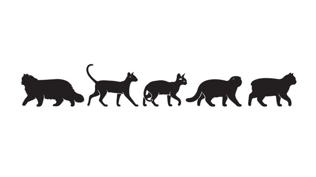 Black cat silhouette set walking in a line, five feline breeds vector silhouettes, isolated black animal shapes on white background, minimal pet graphic design elements