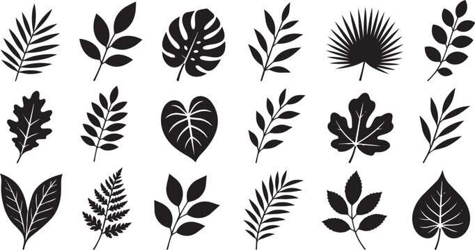 Tropical leaf silhouette icon set on transparent background png file