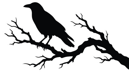 Fototapeta premium Silhouette Black Raven Bird Perched on Dead Tree Branch Graphic Element
