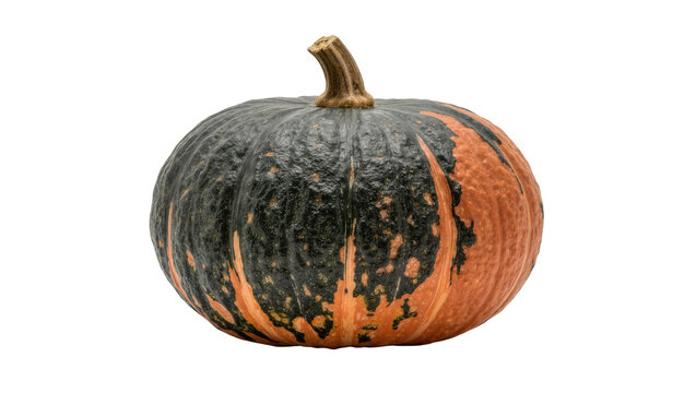 Dark green and orange striped kabocha squash with thick stem, isolated on transparent background