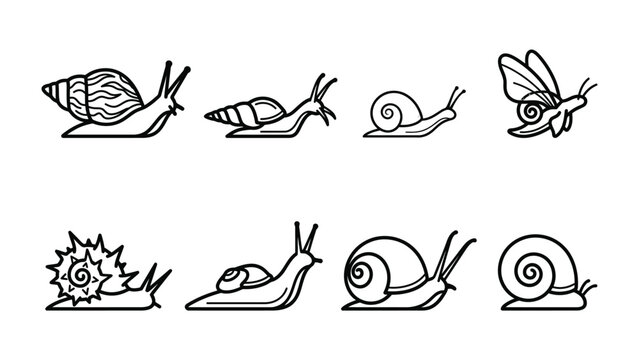 Set of Snail Illustrations: A collection of diverse snail illustrations in a simple black and white line art style, showcasing various forms and poses of these gastropods, including one with wings.
