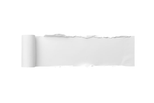 Slim white paper scroll extending from a tight left roll