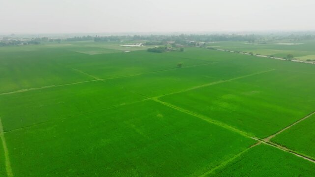 Aerial drone shot flying forward above lush green fields in the Punjab region, with farmland patterns and hazy atmosphere in the distance.