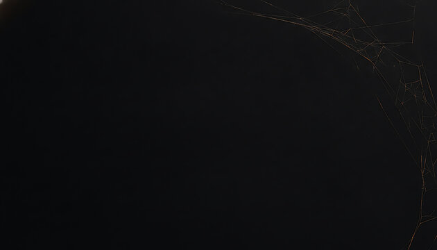 Intricate spider web strands against a deep black background