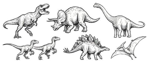 Collection of Hand-Drawn Dinosaurs Isolated on Transparent Background © adung