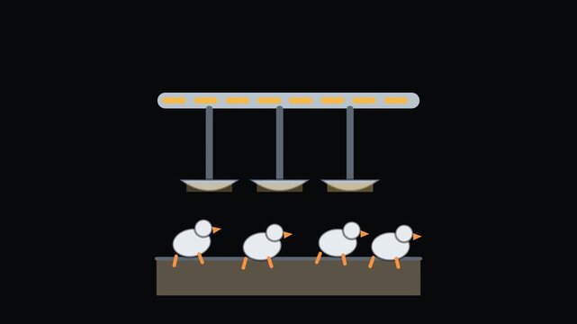 Automated Livestock Feeding System Animated Icon