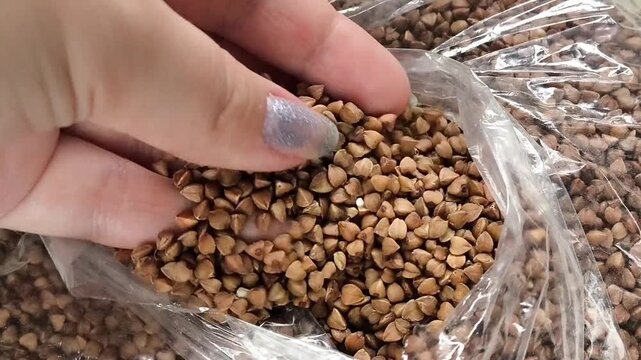 Woman touching buckwheat groats in a large bag, representing grain processing, buckwheat production, food manufacturing and agricultural products.