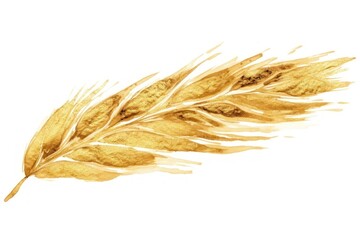 Obraz premium Wheat gold white background agriculture.