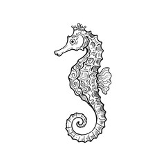 Seahorse royal creature outline sketch isolated on transparent background for aquatic theme marine life posters educational material and digital creative projects. © Mr WaQaS