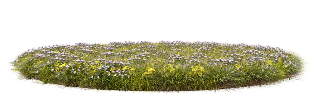 Beautify flowers blossoms grounds cut-out transparent background 3d rendering png