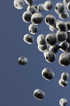 Falling Blueberries on Blue Background 3D Render