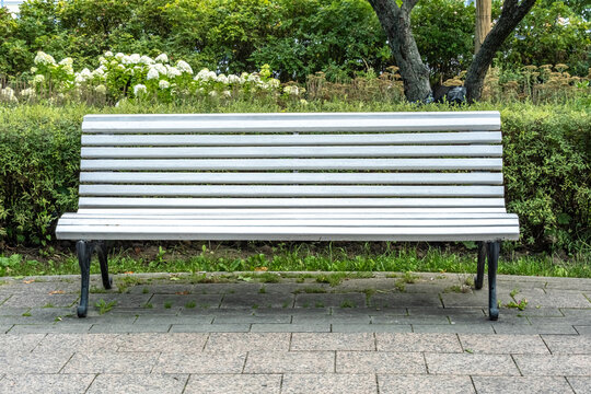 White wooden bench with horizontal slats positioned on a stone pathway surrounded by green shrubs and flowering plants in a public park setting