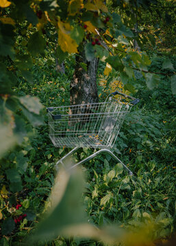 Abandoned shopping cart sits in a lush green forest