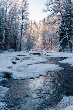 Icy river flowing through a beautiful snowy winter forest