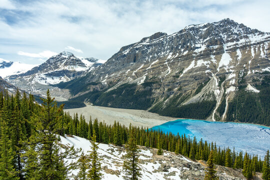 Peyto Lake in Banff National Park with melting ice in Canada