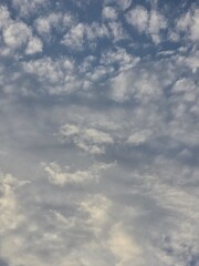 Obraz premium Soft textured cloudscape featuring scattered white and gray clouds across a muted blue sky.