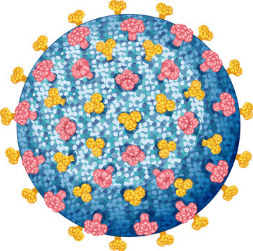 Detailed Vector Illustration of Measles Morbillivirus Structure Isolated on White