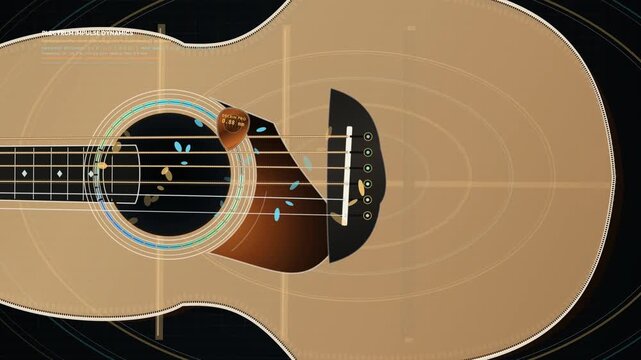 2D animation explaining the physics of acoustic guitar resonance including plectrum impulse dynamics, mechanical coupling, modal wave dispersion, and soundhole acoustic radiation