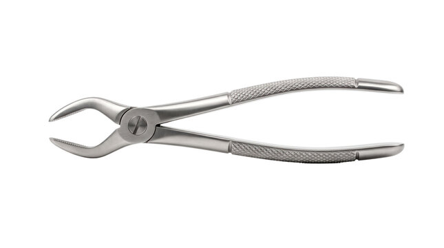 Professional dental extraction forceps, stainless steel surgical pliers for tooth removal, medical grade dentist equipment on white background