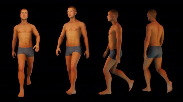 Human Animation