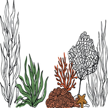Coral reef or seaweeds vector underwater plant icons. Naive style leaves, algae or fronds. Hand drawn vector ink illustration